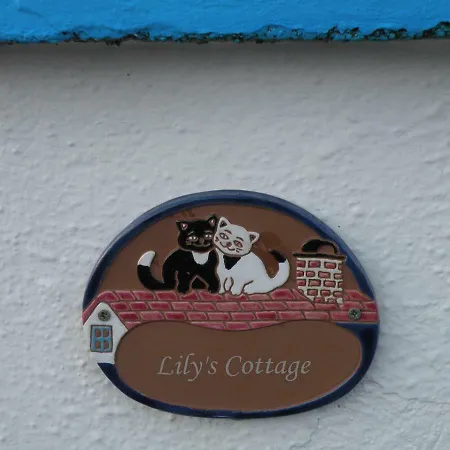 Lily's 住宿加早餐酒店 西纽卡斯尔